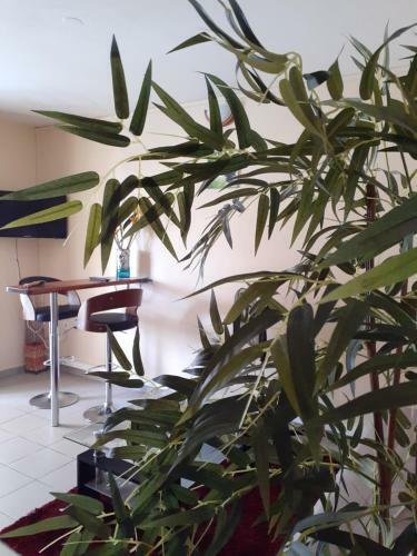 Apartamento Le Tamarinier