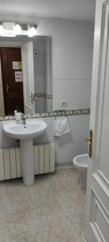 Apartamento San Pedro 43 Apto.