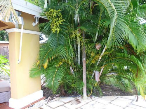 Villa Colada