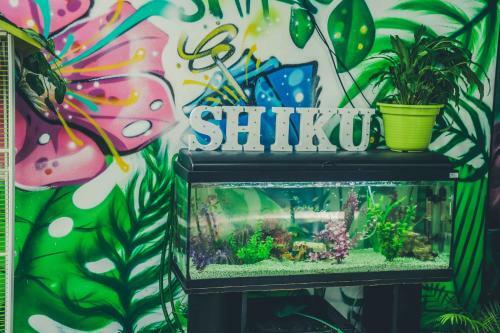 Albergue Shiku