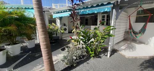 Les Kaz De Guadeloupe