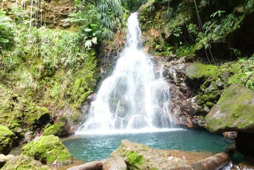 Apartamento Domaine de L'anse Des Rochers