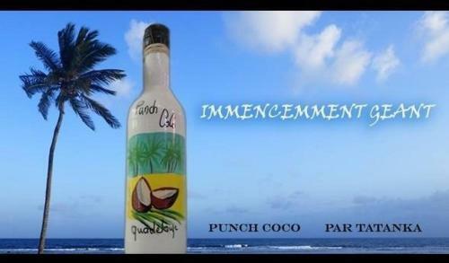 Apartamento Domaine de L'anse Des Rochers