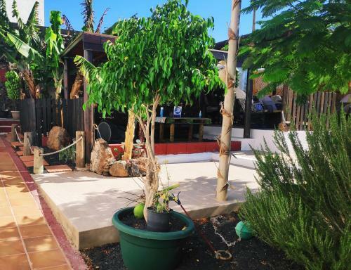 Apartamento Finca Luc�a - Los Hervideros