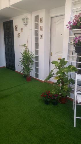 Apartamento Casa Dale