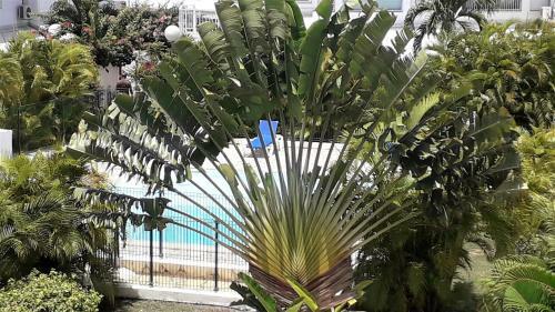 Apartamento Bluehibiscus