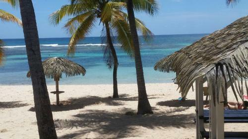 Apartamento Appartement Paradis Tropical