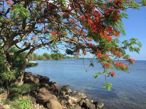 Apartamento Jolie Studio Meubl� Avec Petite Vue Mer