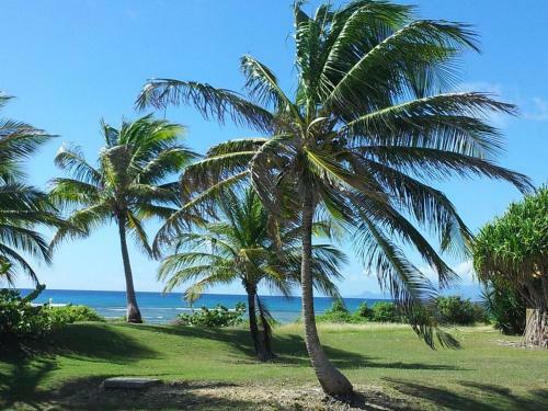 Apartamento Jolie Studio Meubl� Avec Petite Vue Mer