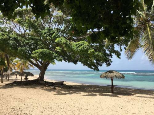 Apartamento Jolie Studio Meubl� Avec Petite Vue Mer