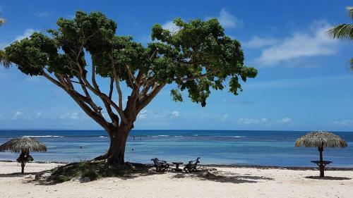 Apartamento Jolie Studio Meubl� Avec Petite Vue Mer