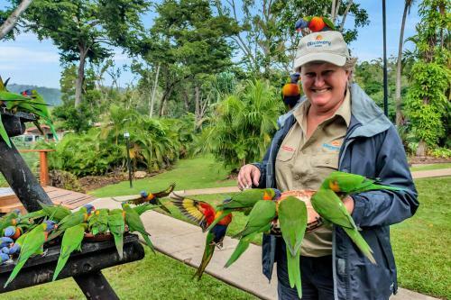 Big4 Airlie Cove Resort & Caravan Park