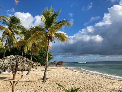 Apartamento Grands Appartements Vue Sur Mer