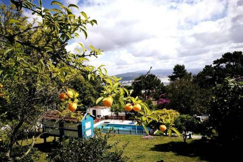 Villa Abad, Finca R�stica Con Casa Y Piscina