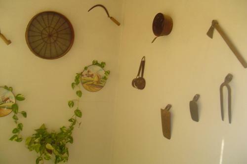Agroturismo Ca La Viola