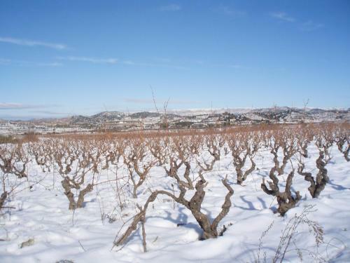 Agroturismo Ca La Viola