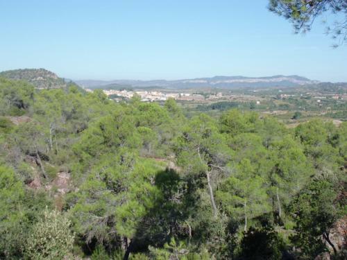 Agroturismo Ca La Viola