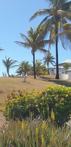 Apartamento Studio Papillon Manganao Saint Francois