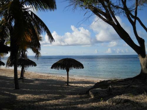 Apartamento Le Tiar� - Anse Des Rochers