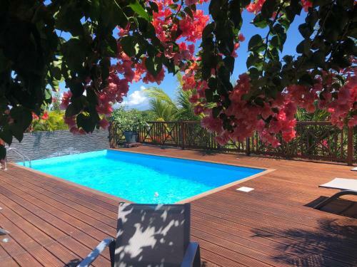 Bed & Breakfast D�sir Tropical