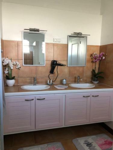 Bed & Breakfast D�sir Tropical