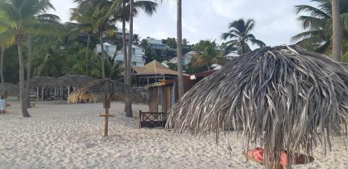 Apartamento L Aloe Anse Des Rochers