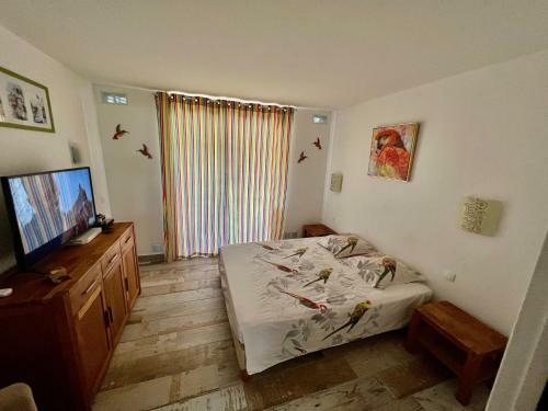 Apartamento Couleur Cara�bes