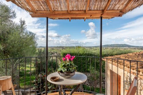 Finca Es Tur� Des Bessons
