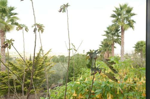 Finca Alegra