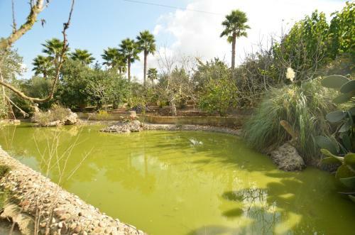 Finca Alegra