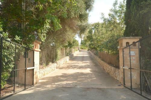 Finca Alegra