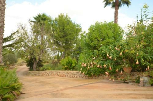 Finca Alegra