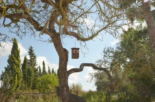 Finca Alegra