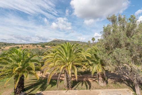 Finca Sa Bassa Seca