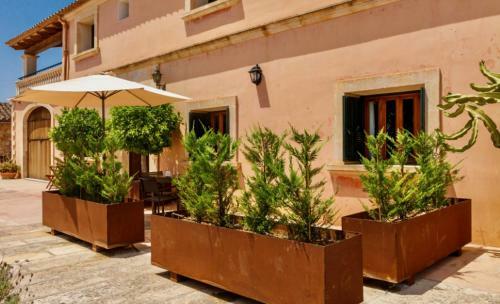 Apartamento Green Life Wellness Retreat