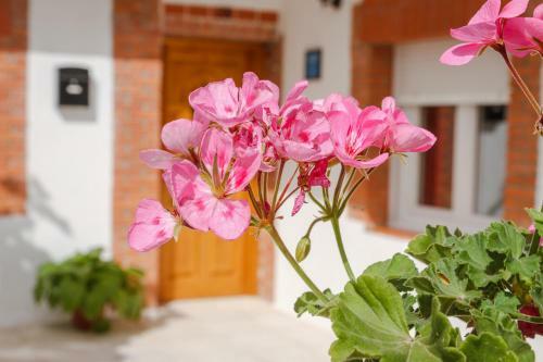 Casa Tur�stica El Navego