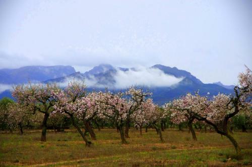La Ultima Casa Masboquera 1 Bedroom