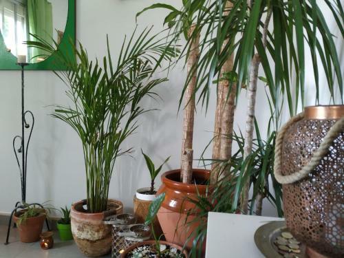 Boutique Beach Apartment Matar�
