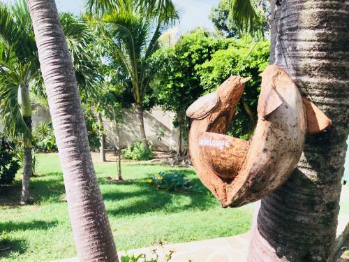 La Villa De Maracuja De Coco