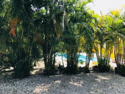 La Villa De Maracuja De Coco