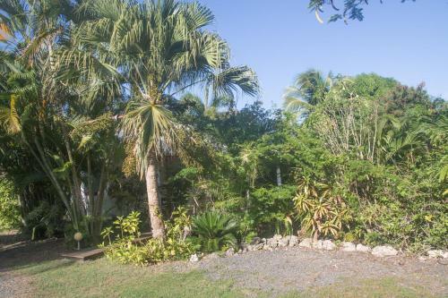 Gite Le Colibri Bungalow Azur