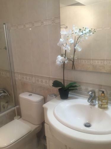 Apartamento Poseidons Pearl Duquesa