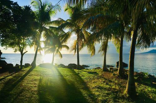 Bed & Breakfast Soleil L�