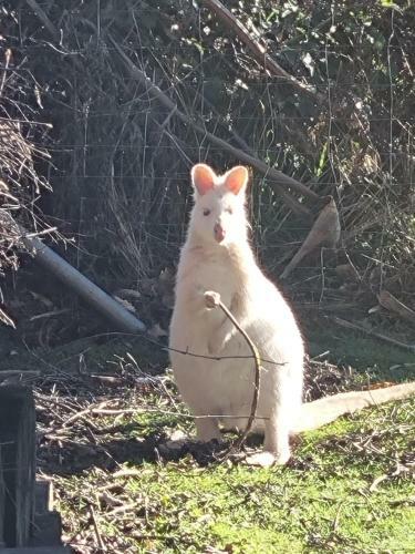 What A View