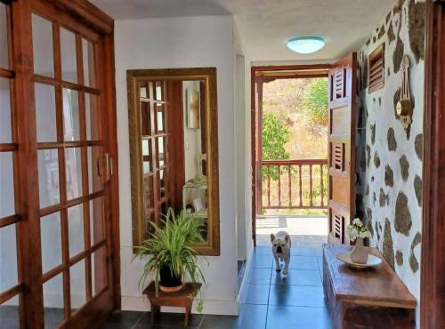 Casa El Olivo De Dita