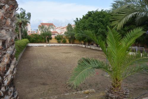 Los Alamillos 3