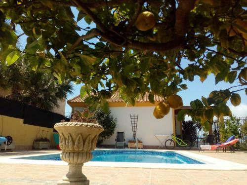Casa El Olivo