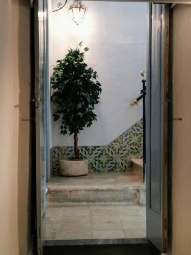 Apartamento Triperia 25