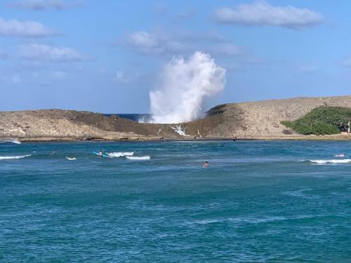 Coral Guest House - Jobos Isabela, Pr