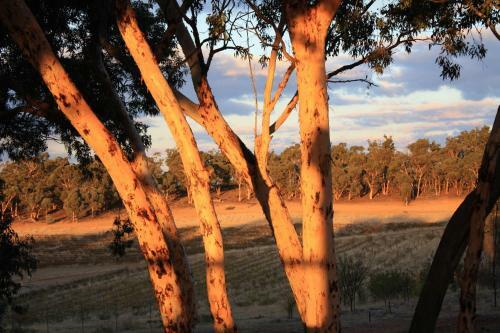 Agroturismo Hotham Ridge Winery And Cottages